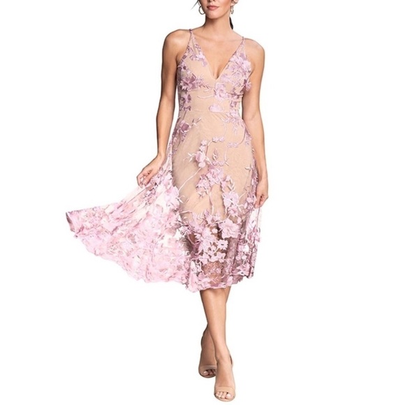 Dress‎ the Population Audrey Sheer Floral Overlay A-Line Sleeveless V-Neck Dress